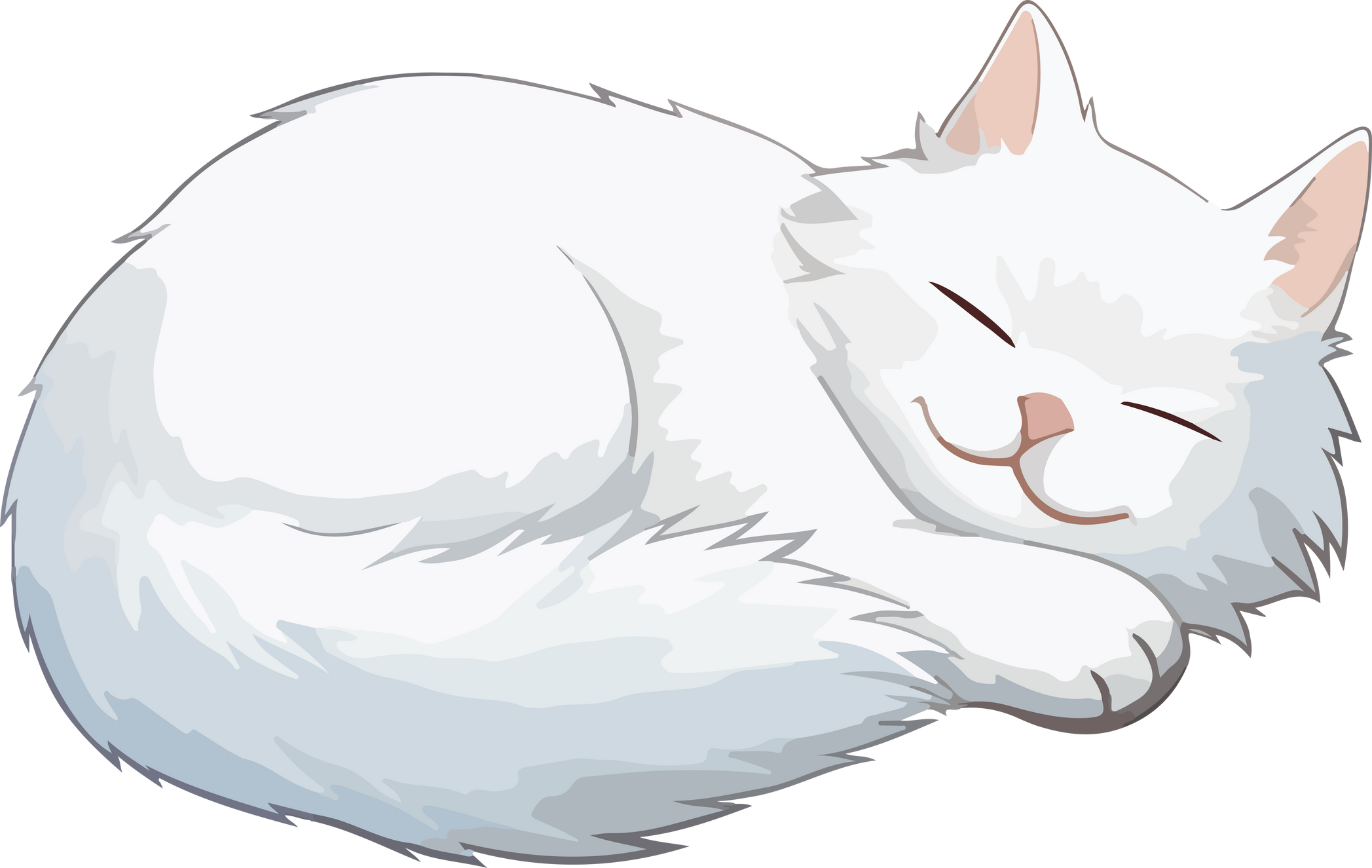 white sleeping cat